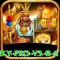 kkkkk99 Money Pro v3.8.6