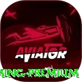 q77 - Gaming Premium